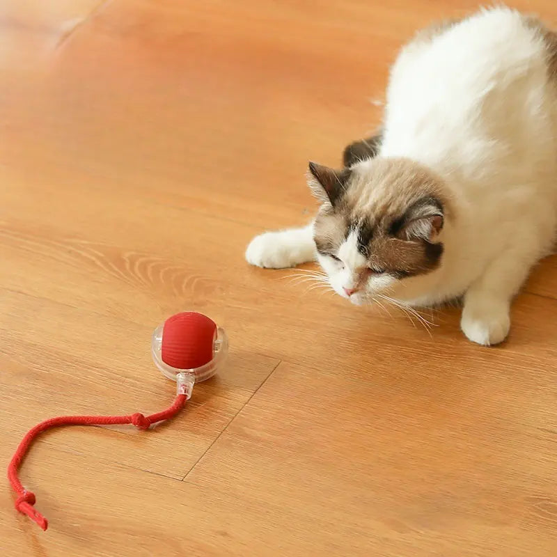 Orfli - 360° Smart Automatic Pet Interactive Toy